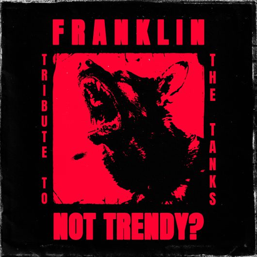 Plattencover Not Trendy?